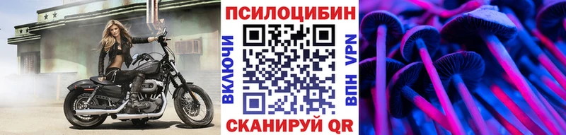 Псилоцибиновые грибы MAGIC MUSHROOMS OMG ТОР Химки как найти закладки