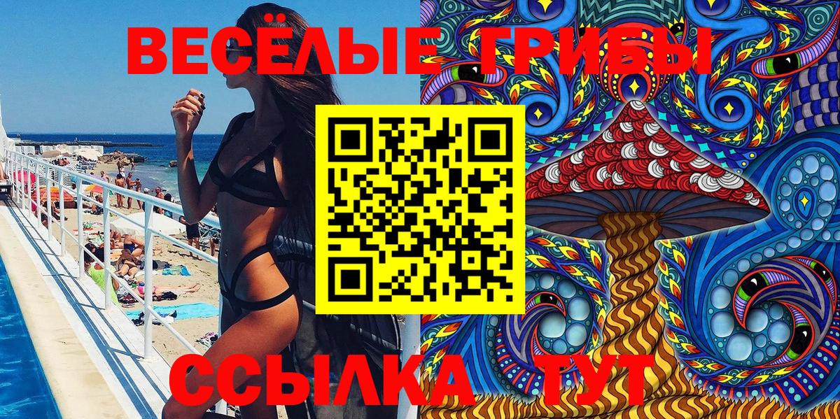 Псилоцибиновые грибы MAGIC MUSHROOMS  Вход с VPN  Псилоцибиновые грибы прущие грибы  закладки  Химки 