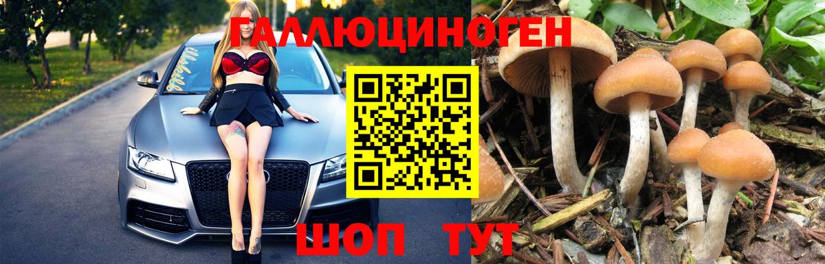 Псилоцибиновые грибы мухоморы Химки